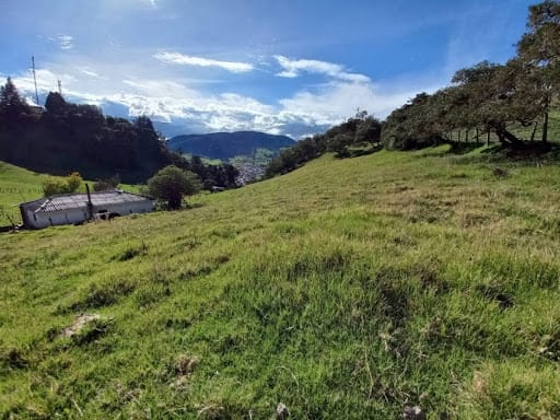 Lote en venta en El Rodeo, La Calera · foto 3 de 18