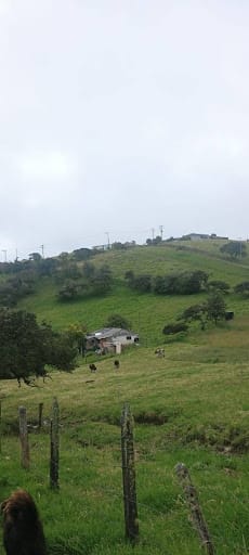 Lote en venta en El Rodeo, La Calera · foto 4 de 18