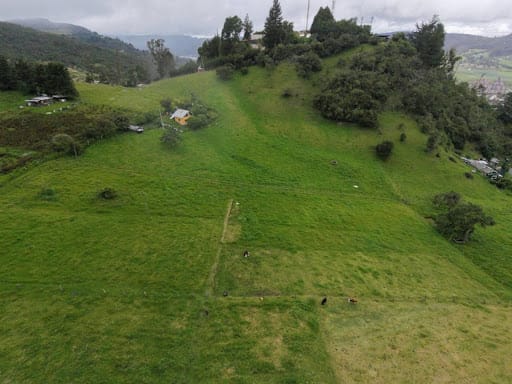 Lote en venta en El Rodeo, La Calera · foto 8 de 18