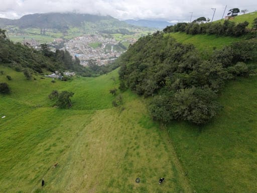 Lote en venta en El Rodeo, La Calera · foto 9 de 18