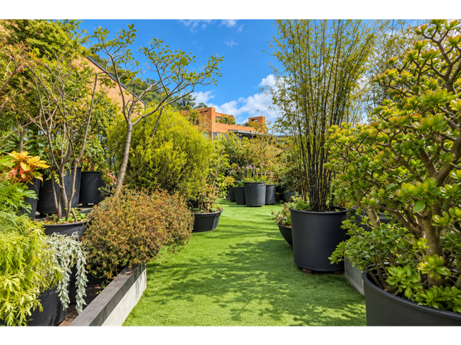 Apartamento de 3 alcobas en venta en El Retiro, Bogotá, 480 m² · foto 15 de 19