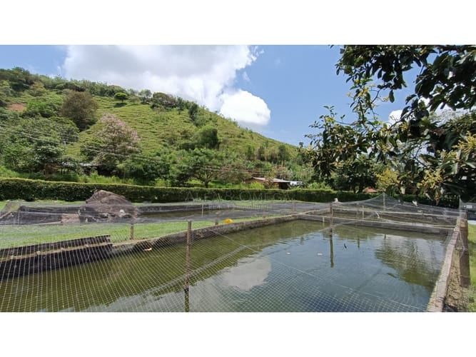 Finca en venta en El Totumo, Ibagué, 650 m² · foto 17 de 24