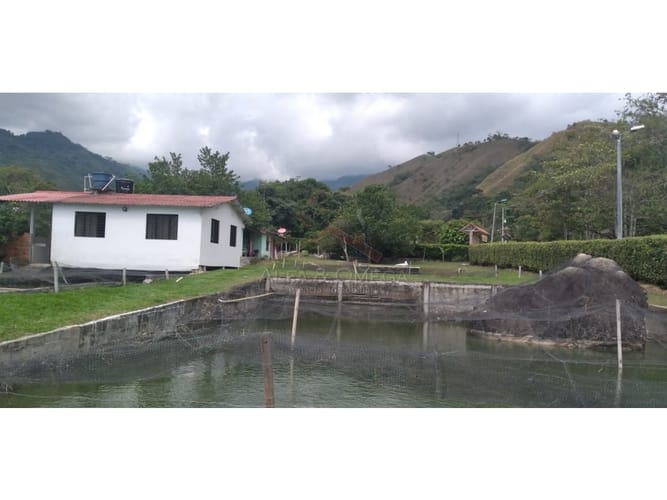 Finca en venta en El Totumo, Ibagué, 650 m² · foto 24 de 24