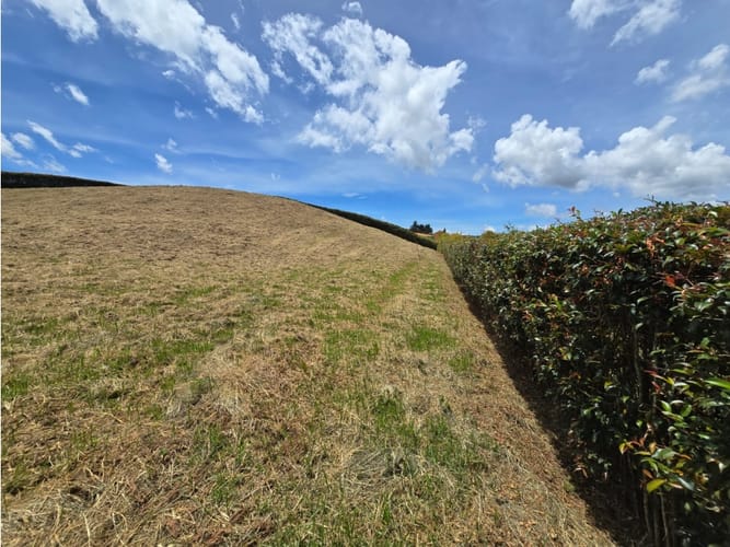 Lote en venta en La Sonadora, El Carmen de Viboral, 2400 m² · foto 21 de 24
