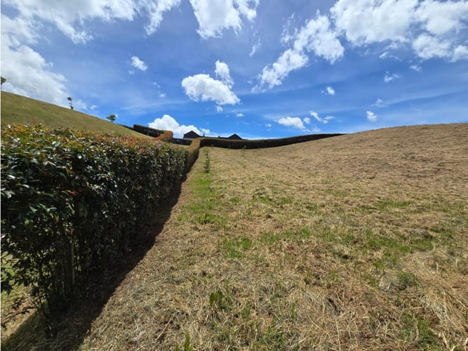 Lote en venta en La Sonadora, El Carmen de Viboral, 2400 m² · foto 23 de 24