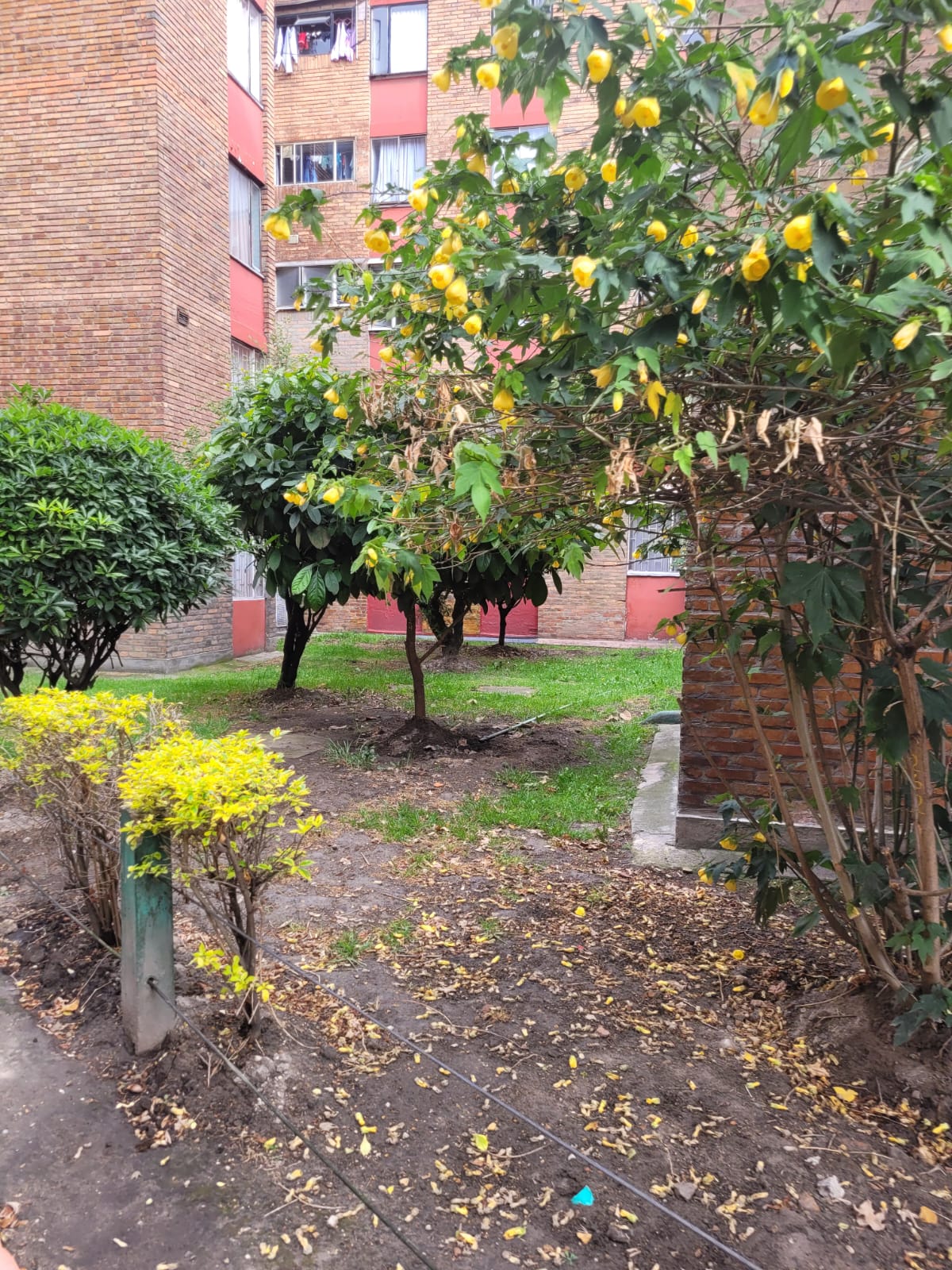 Apartamento en venta en Kennedy Central, Bogotá · foto 12 de 15