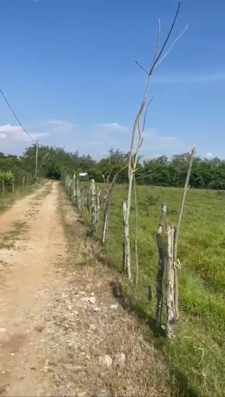 Lote en venta en Potrerito, Jamundí, 7069 m² · foto 3 de 15