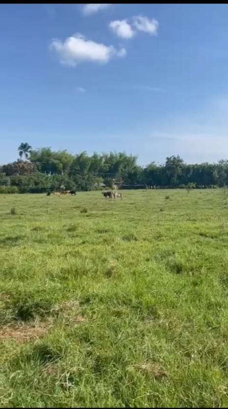 Lote en venta en Potrerito, Jamundí, 7069 m² · foto 4 de 15