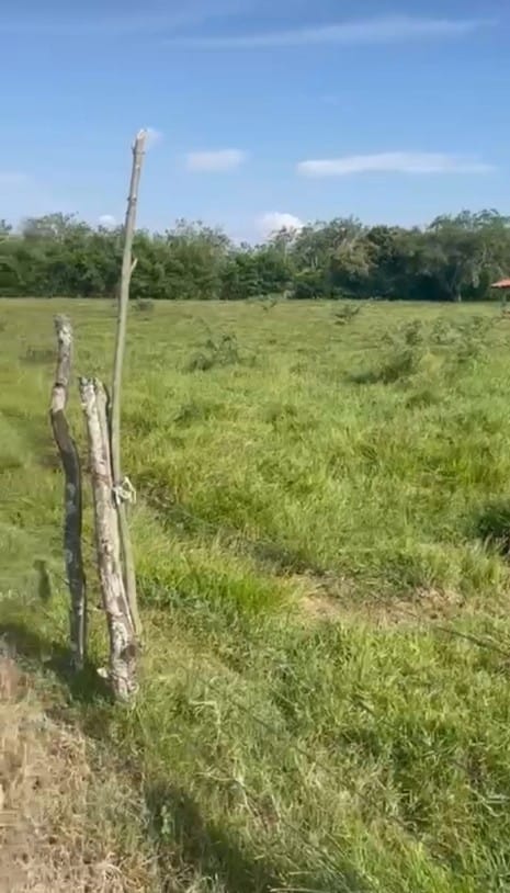 Lote en venta en Potrerito, Jamundí, 7069 m² · foto 5 de 15