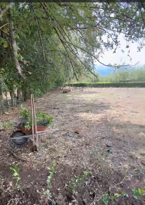 Lote en venta en Potrerito, Jamundí, 7069 m² · foto 6 de 15