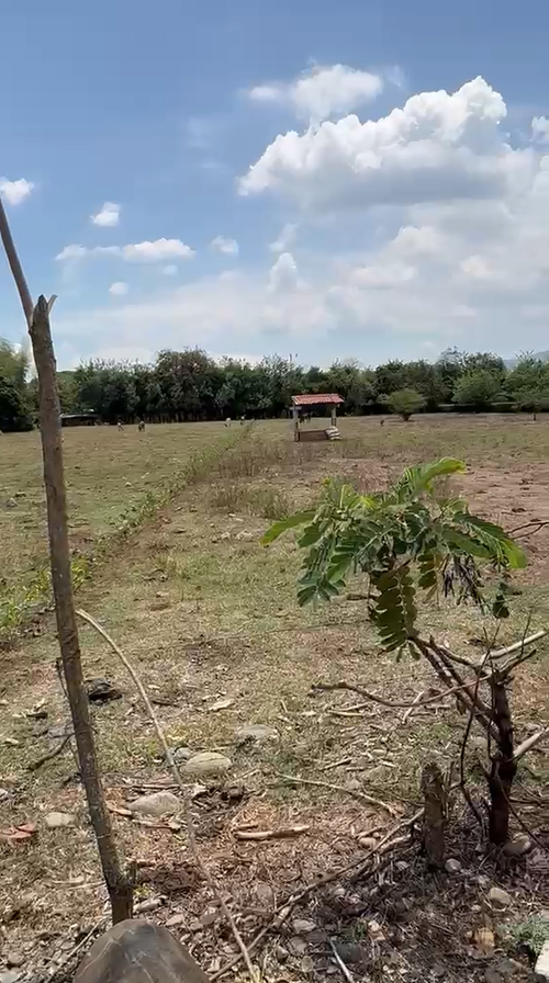 Lote en venta en Potrerito, Jamundí, 7069 m² · foto 9 de 15