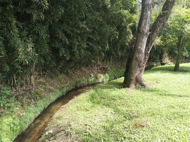 Finca en venta en Cabeceras De Llanogrande, Rionegro, 315 m² · foto 22 de 22