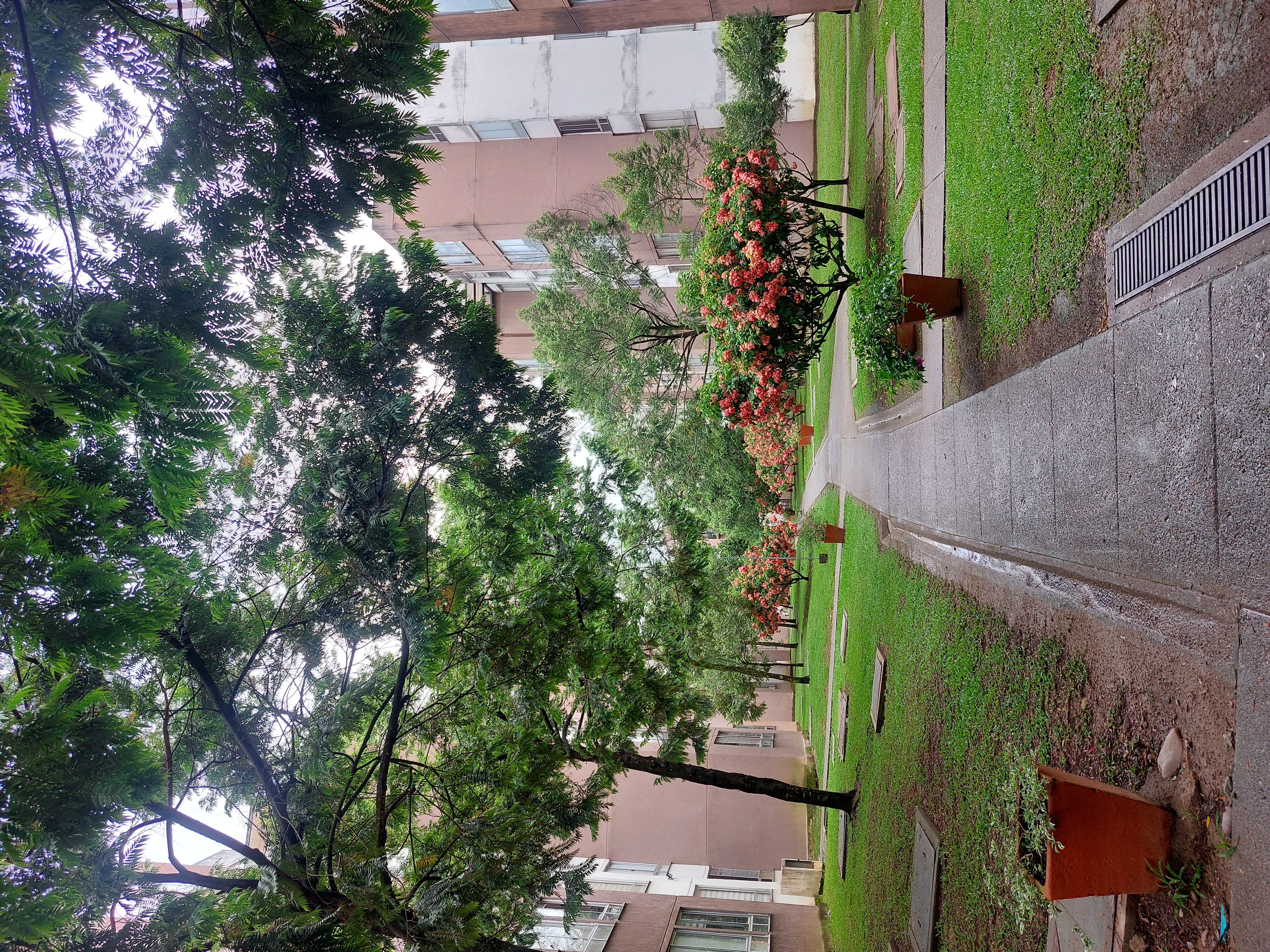 Apartamento en venta en Cr Arauco Hd. Rosablanca, Villavicencio · foto 19 de 20