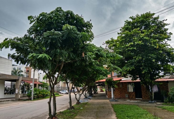 Casa de 3 alcobas en venta en Caños Negros, Villavicencio, 131 m² · foto 14 de 17