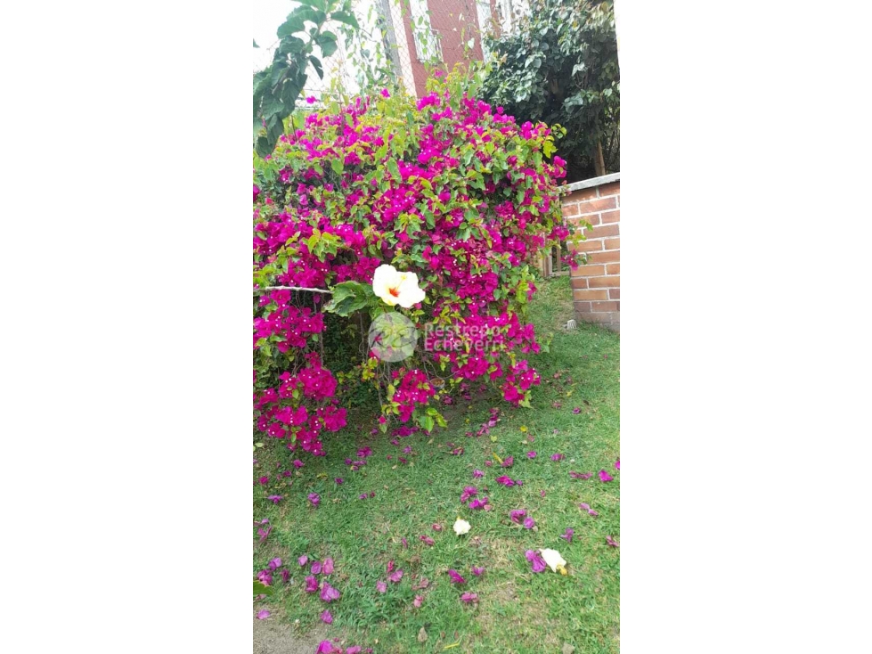 Casa en venta en San Marcel, Manizales · foto 17 de 17
