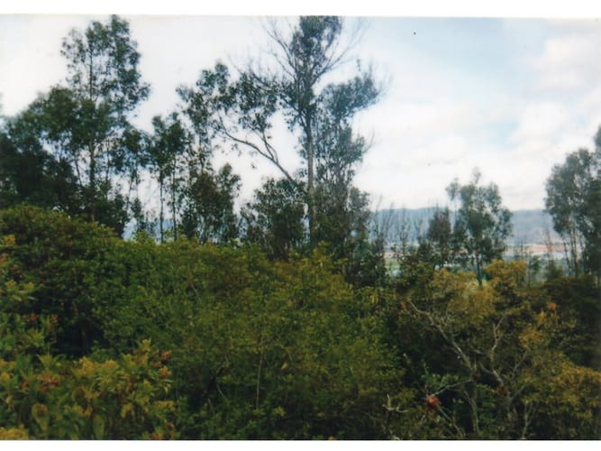 Lote en venta en Yerbabuena, Chía, 3024 m² · foto 8 de 15