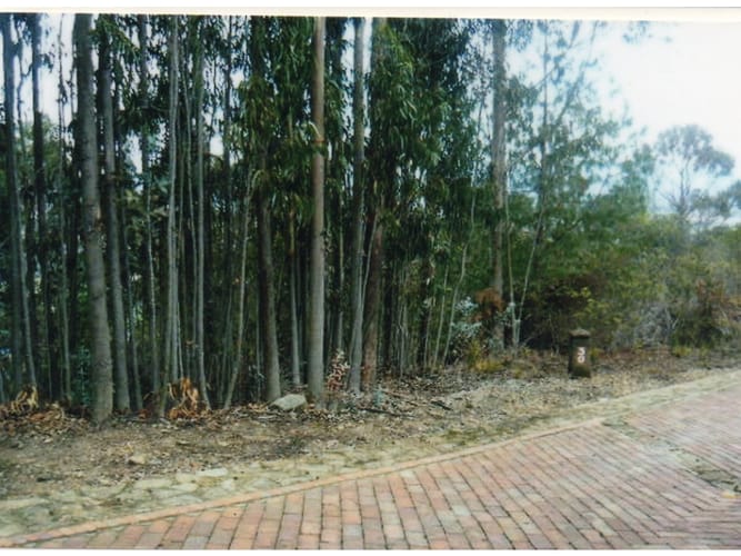 Lote en venta en Yerbabuena, Chía, 3024 m² · foto 15 de 15