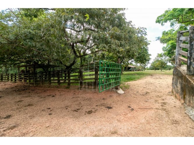 Finca en venta en 7 De Agosto, Villavicencio, 6620 m² · foto 5 de 15