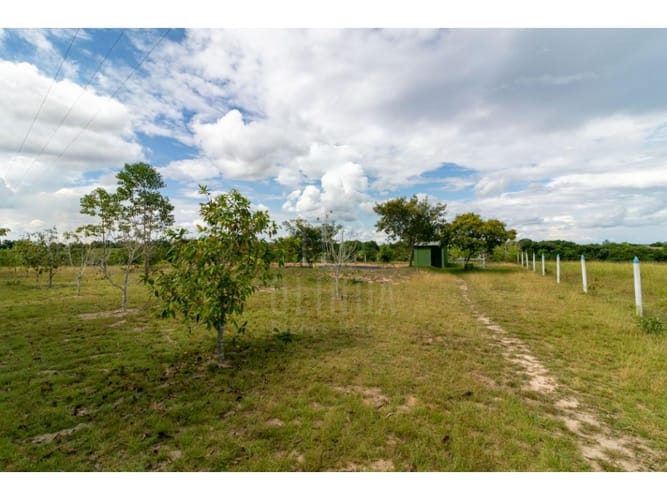 Finca en venta en 7 De Agosto, Villavicencio, 6620 m² · foto 9 de 15