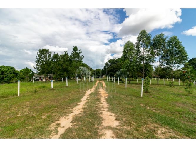 Finca en venta en 7 De Agosto, Villavicencio, 6620 m² · foto 14 de 15