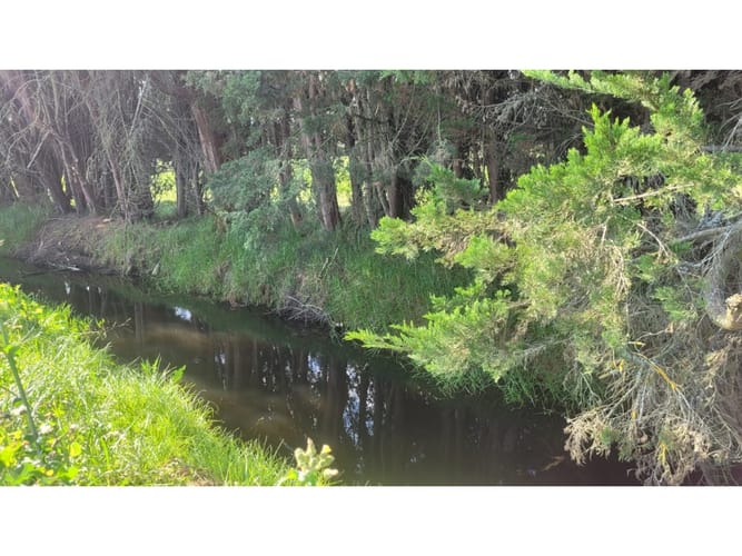 Lote en venta en San Jorge, Mosquera, 3734 m² · foto 11 de 23