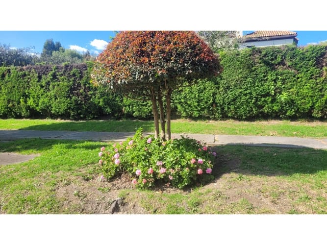 Lote en venta en San Jorge, Mosquera, 3734 m² · foto 13 de 23