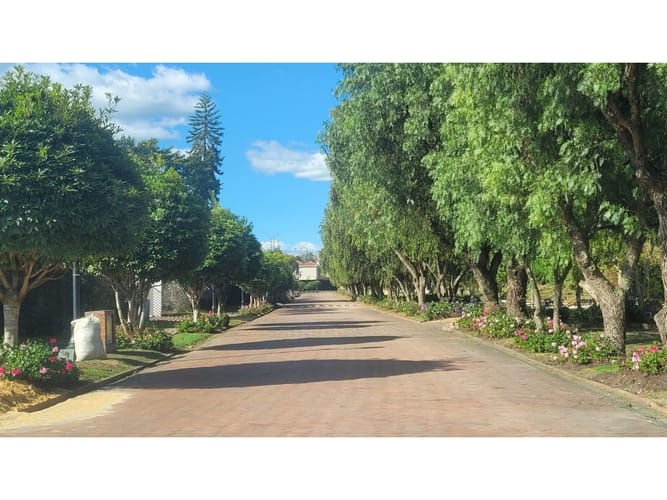 Lote en venta en San Jorge, Mosquera, 3516 m² · foto 4 de 24