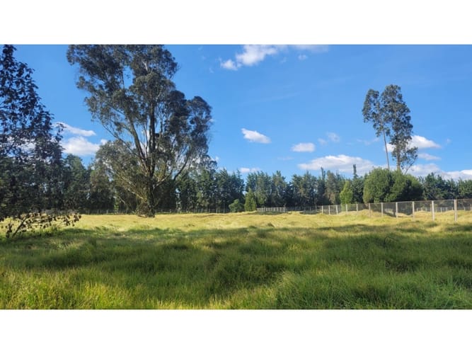 Lote en venta en San Jorge, Mosquera, 3516 m² · foto 5 de 24