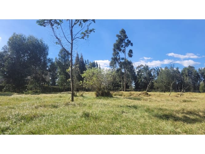 Lote en venta en San Jorge, Mosquera, 3516 m² · foto 6 de 24