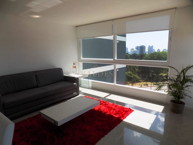 VENTA Y ALQUILER!! AMPLIO APARTAMENTO UN DORMITORIO !! · Foto 3