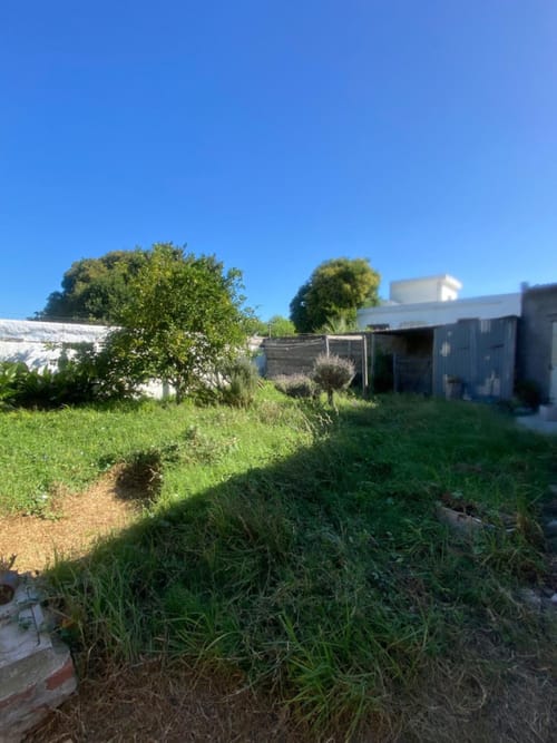TERRENO IDEAL LOGÍSTICA EN PIEDRAS BLANCAS · Foto 6