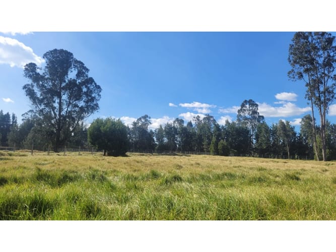 Lote en venta en San Jorge, Mosquera, 3922 m² · foto 4 de 23