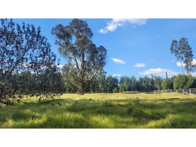 Lote en venta en San Jorge, Mosquera, 3922 m² · foto 7 de 23