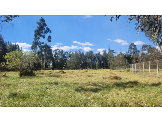Lote en venta en San Jorge, Mosquera, 3922 m² · foto 13 de 23