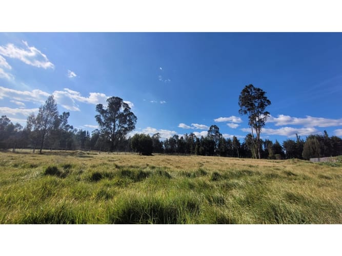 Lote en venta en San Jorge, Mosquera, 3922 m² · foto 14 de 23