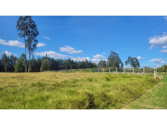 Lote en venta en San Jorge, Mosquera, 3922 m² · foto 15 de 23