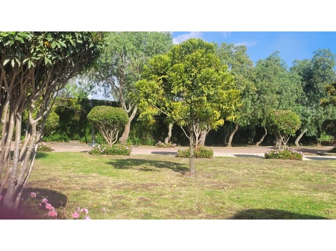 Lote en venta en San Jorge, Mosquera, 3922 m² · foto 20 de 23