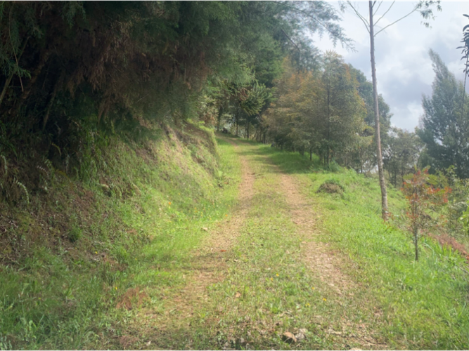 Lote en venta en Carrizales, El Retiro, 13783 m² · foto 2 de 3