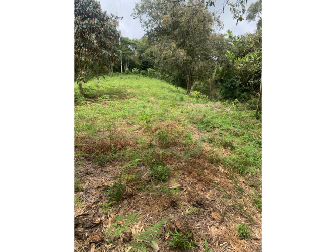 Lote en venta en Carrizales, El Retiro, 13783 m² · foto 3 de 3