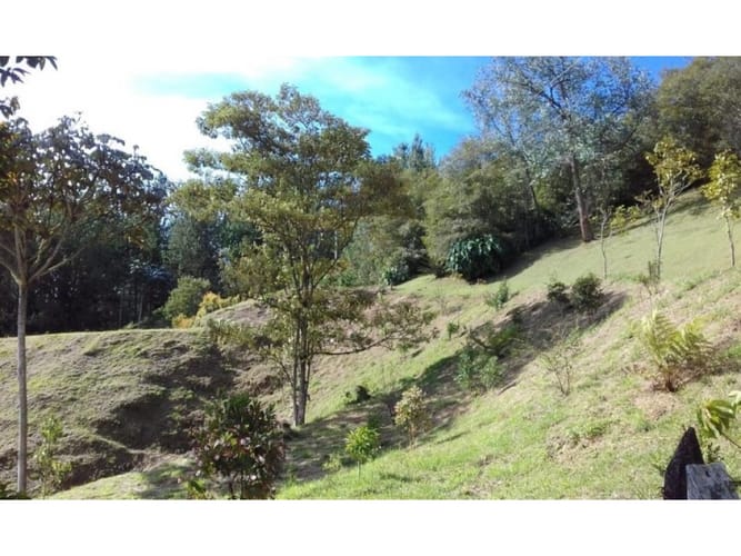 Lote en venta en Pantanillo, El Retiro, 7042 m² · foto 2 de 4