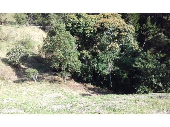 Lote en venta en Pantanillo, El Retiro, 7042 m² · foto 3 de 4