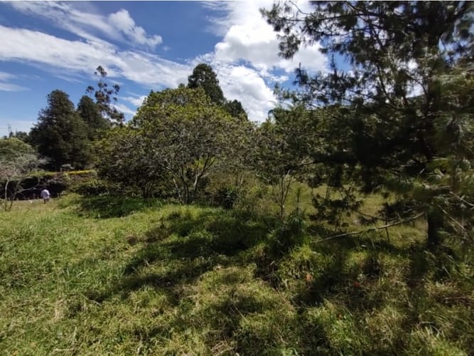 Lote en venta en La Ceja, 6100 m² · foto 3 de 7