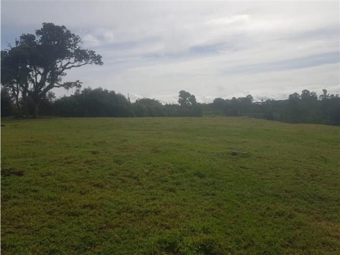 Lote en venta en Aeropuerto, Rionegro, 11700 m² · foto 6 de 9