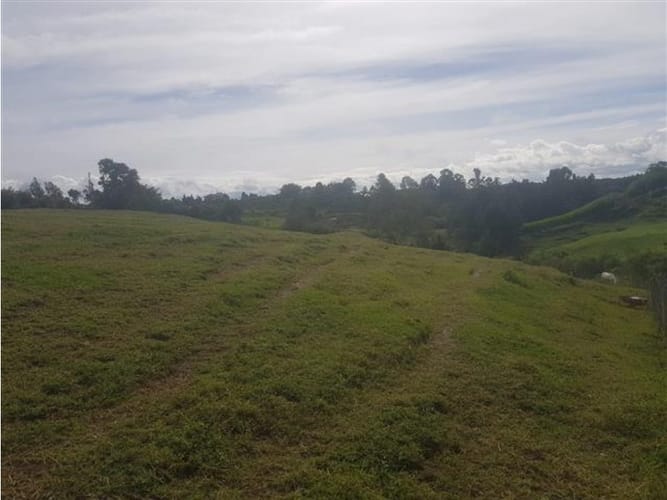 Lote en venta en Aeropuerto, Rionegro, 11700 m² · foto 9 de 9