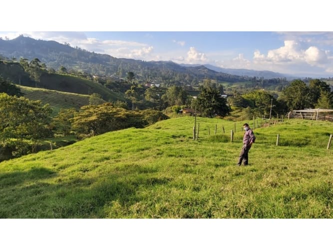 Lote en venta en Pontezuela, Rionegro, 5609 m² · foto 7 de 14