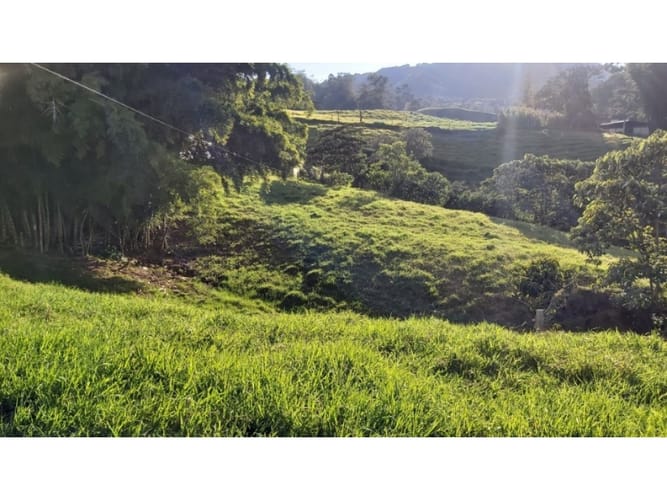 Lote en venta en Pontezuela, Rionegro, 5609 m² · foto 9 de 14