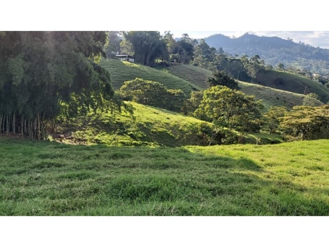 Lote en venta en Pontezuela, Rionegro, 5609 m² · foto 10 de 14