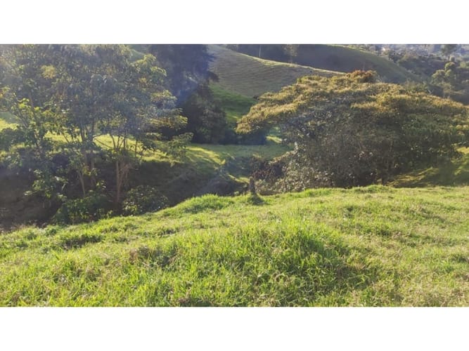 Lote en venta en Pontezuela, Rionegro, 5609 m² · foto 12 de 14