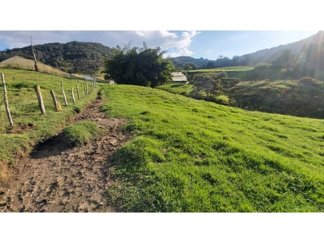Lote en venta en Pontezuela, Rionegro, 5609 m² · foto 13 de 14