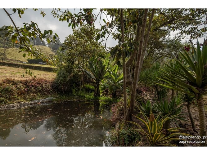 Lote en venta en El Tambo, La Ceja, 4166 m² · foto 4 de 10